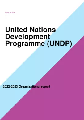 UNDP-2022-2023