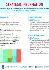 Strategic information_horiz