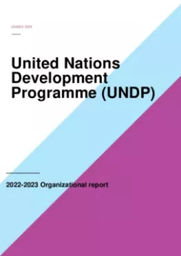 UNDP-2022-2023