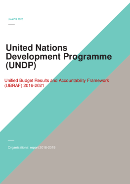 UNDP_Organizational report_2018-2019