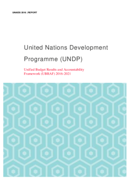UNDP_organizationalreport_final_tmp