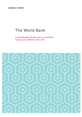 WB_organizationalreport_final_tmp_1