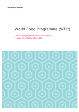 WFP_organizationalreport_final_tmp_f