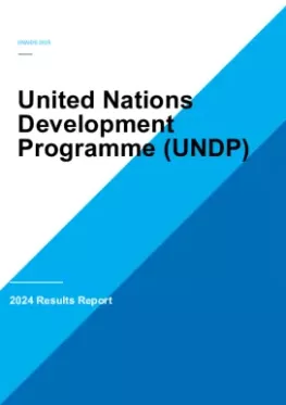 UNDP_2024